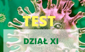 Autotest Dział XI